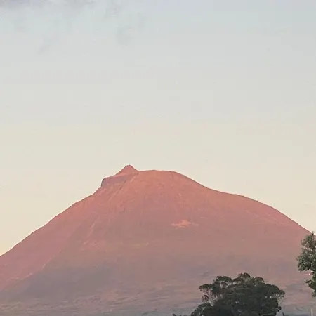 Ocean View Pico Villa Madalena (Azores)