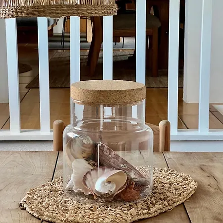 Ocean View Pico Madalena (Azores)