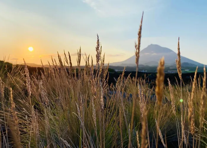 Ocean View Pico ヴィラ