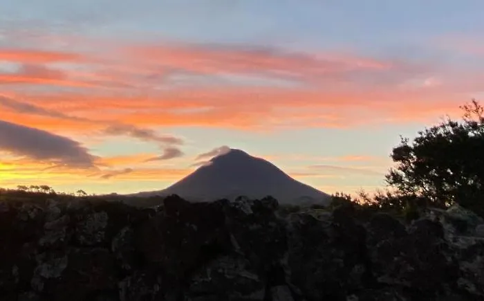 ヴィラ Ocean View Pico *