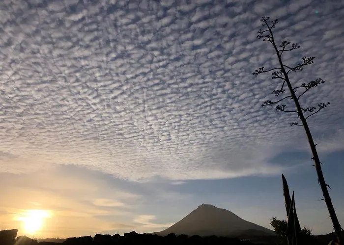 Ocean View Pico ヴィラ *