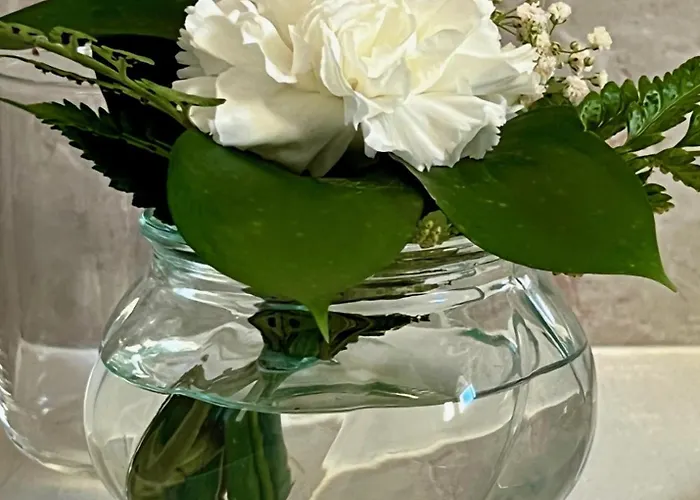 Villa Ocean View Pico Madalena (Azores)